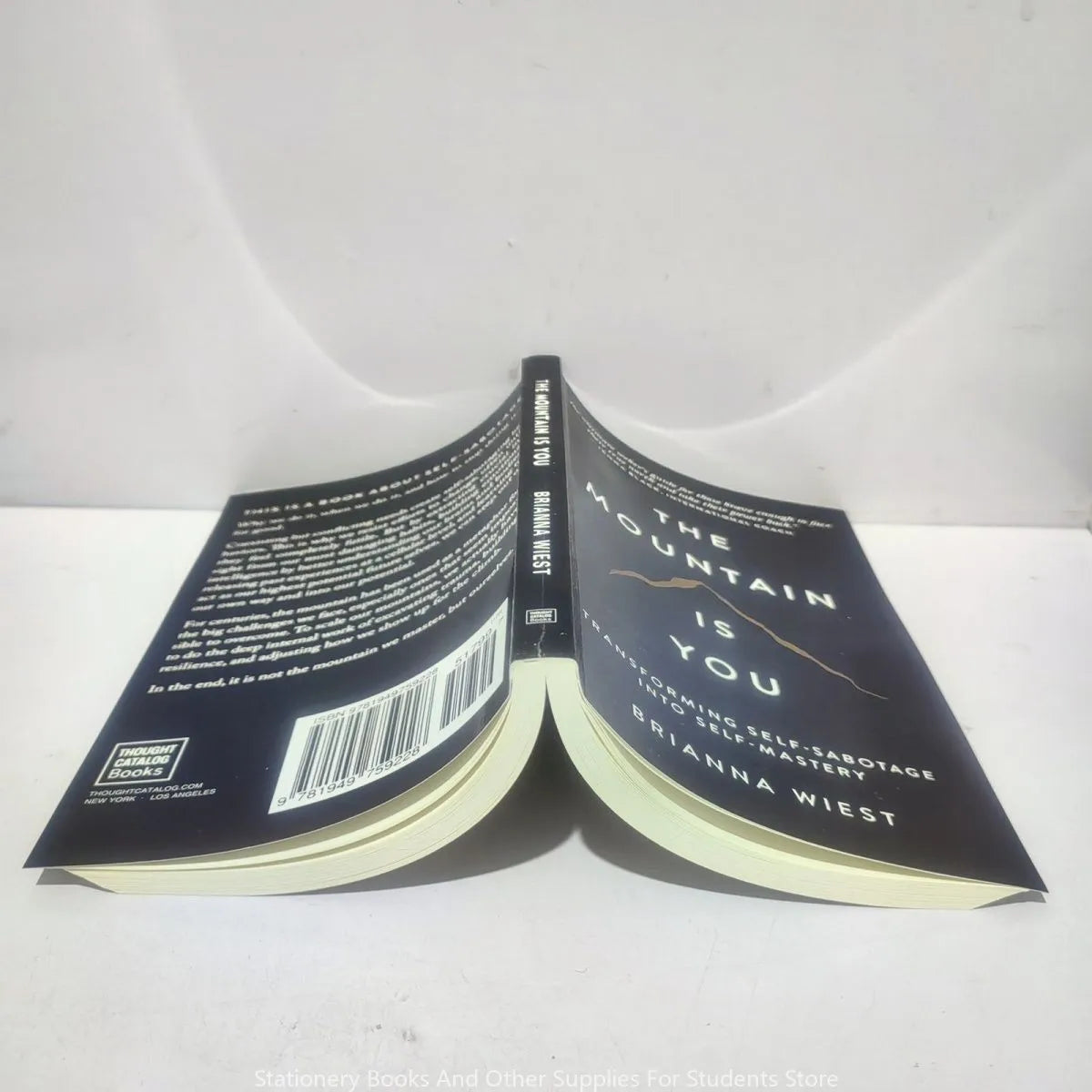 The Mountain Is You Book The Mountain Is You novels Ielts English Atomic Beans Boy On A Row