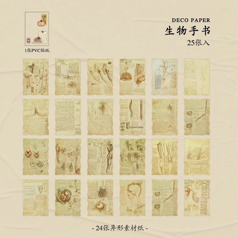 Journamm 25 Sheets Vintage Journaling Scrapbooking Supplies Craft Paper Journals Planners Aesthetics Collage Photo Album Frames